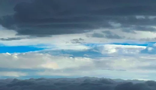 久しぶりの雨