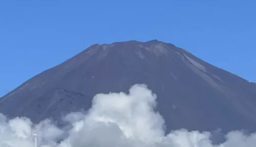 食物連鎖の頂点に立つ責任